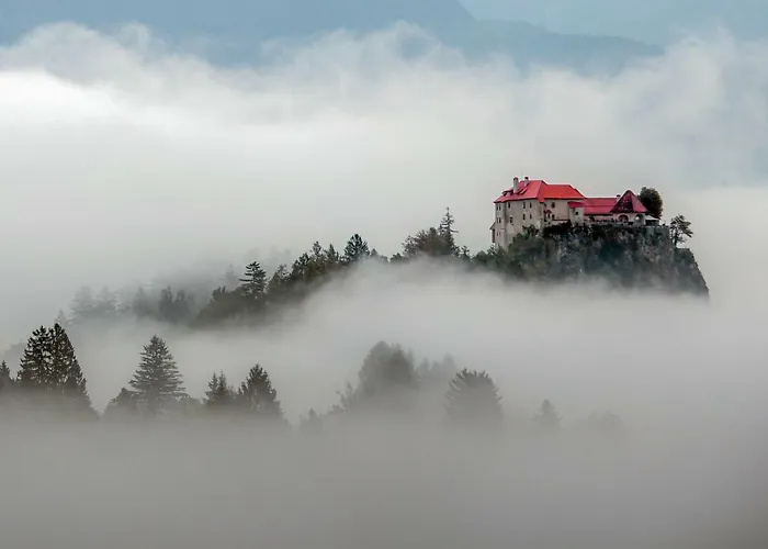 Jazz بيت ضيافة بليد